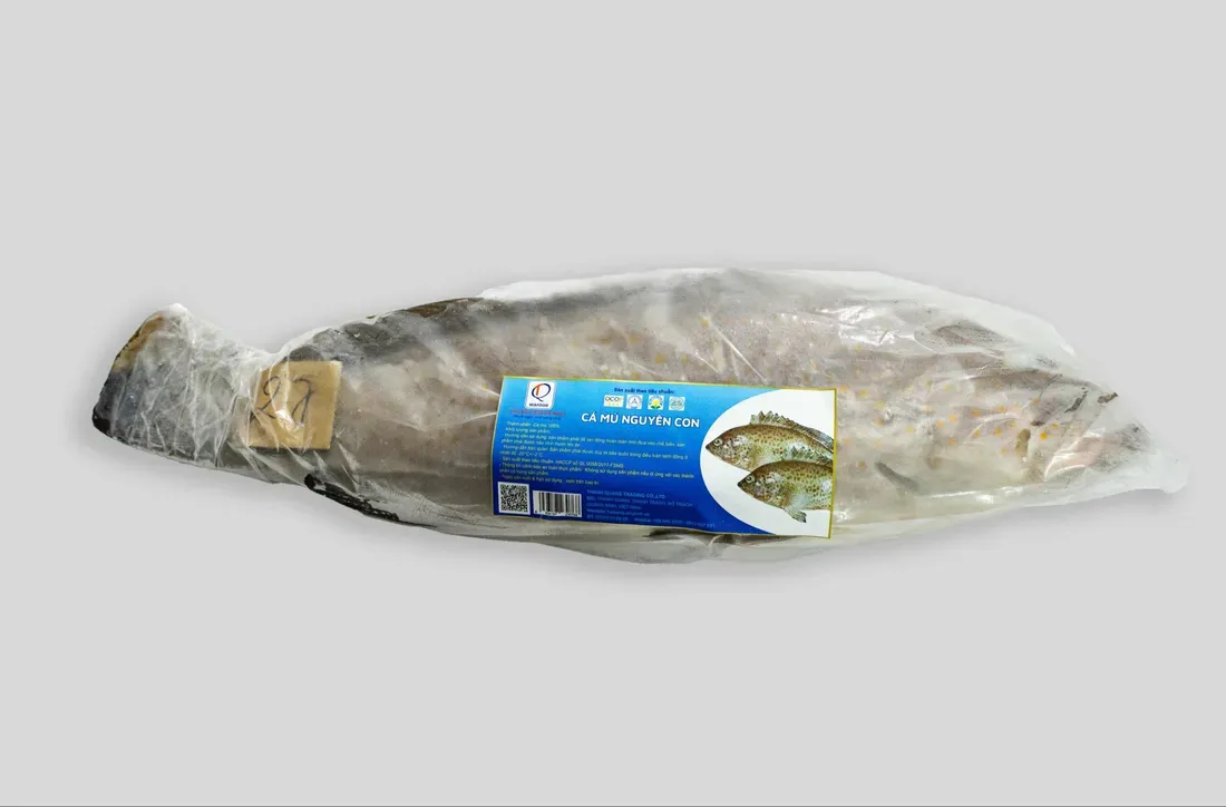 Cá mú nguyên con